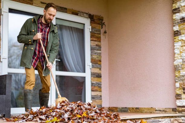 Best Electronics Removal Services  in Springfield, FL